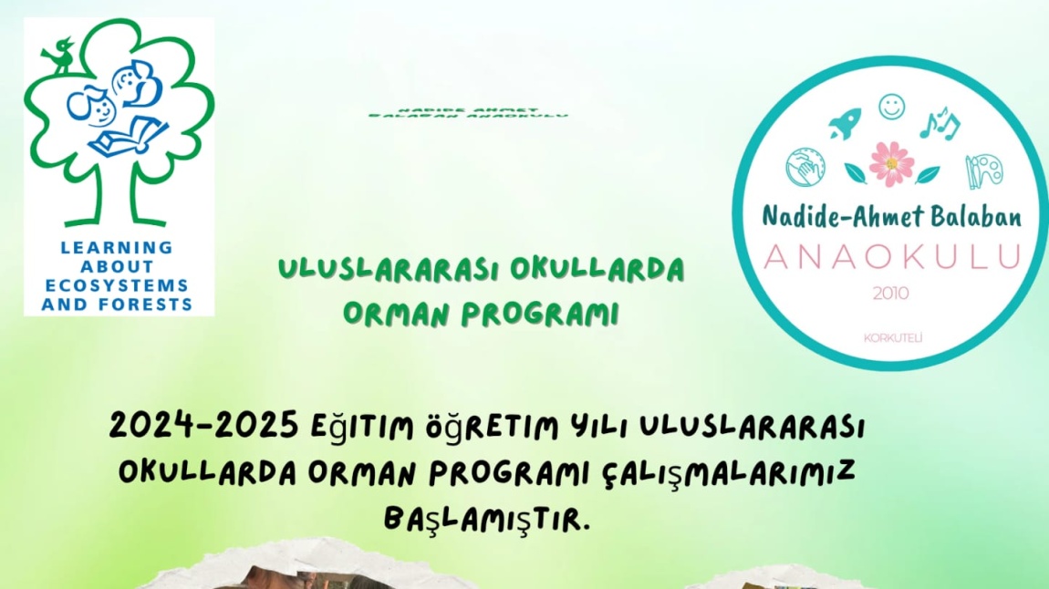 2025-2026 EĞİTİM-ÖĞRETİM YLINDA YİNE OKULLARDA ORMAN PROJESİ YÜRÜTÜYORUZ.